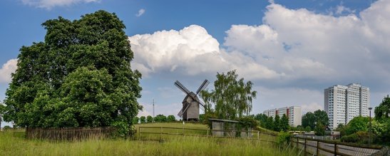 Vom Dorf zur Stadt: Windmühle und Plattenbauten in Berlin - Urheber @ ebenart